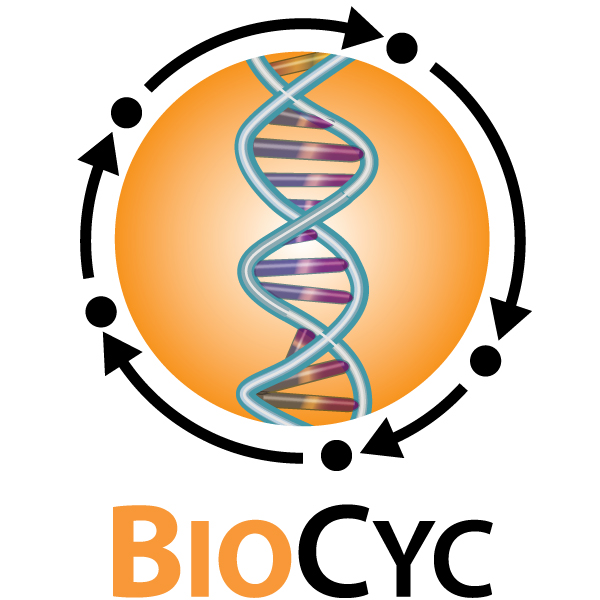 BioCyc Webinars - Structured Advanced Query Page Quick Introduction
